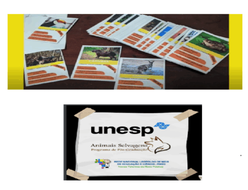 Jogo Conserve e Ação