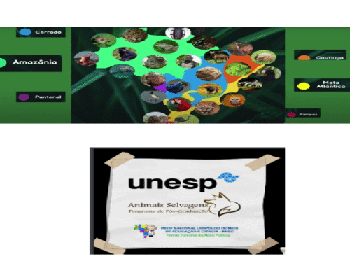 Jogo Biomas Brasileiros