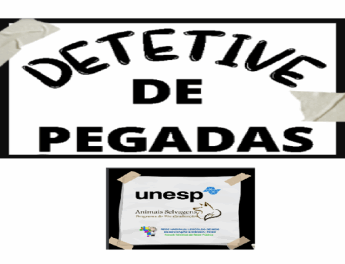 Jogo Detetive de Pegadas