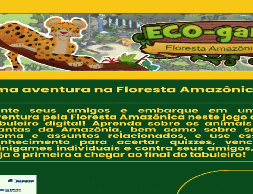 Uma aventura na Floresta Amazônica!